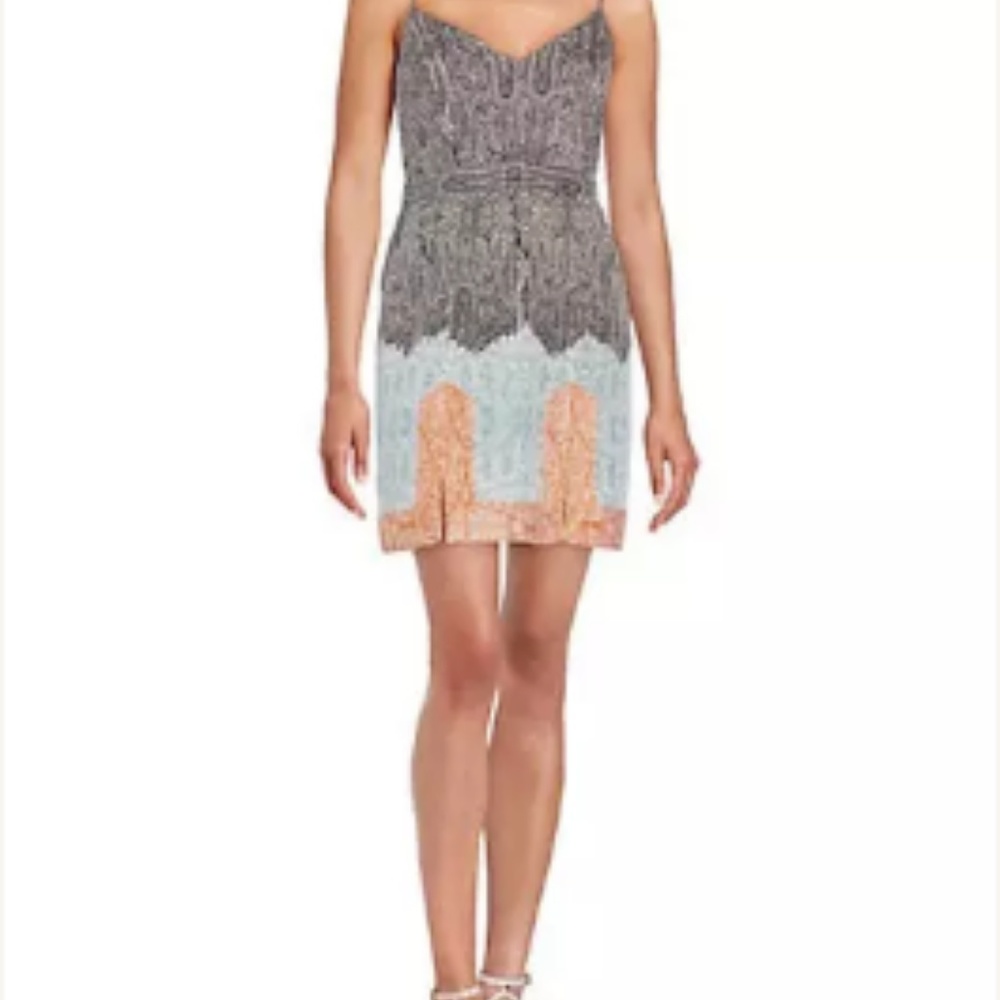 Twelfth street by Cynthia Vincent mini dress